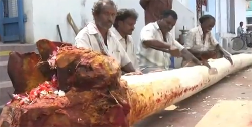 Information on Sirimanu Jathara the Utsav to be held once in 15 years Andhra Pradesh in Srikakulam